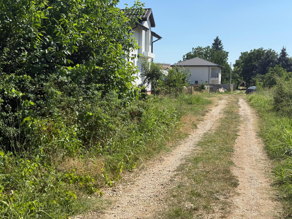 Teren Berceni Primarie 300mp | curent & gaze | Str. Lacramioarei