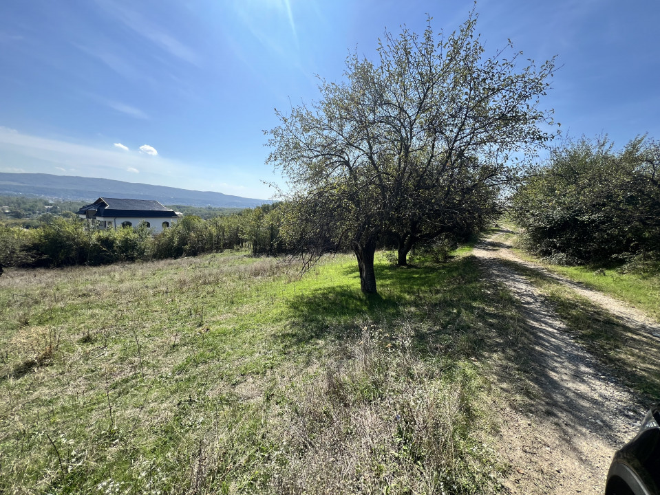 Vanzare teren 700mp, intravilan, in oras, cu vedere panoramica