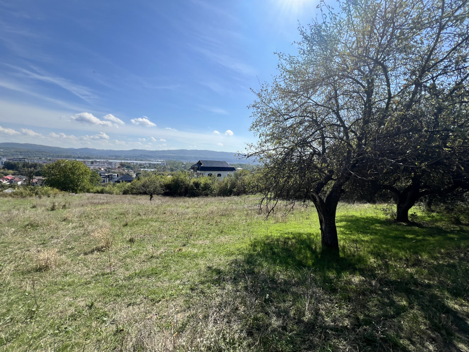 Vanzare teren 700mp, intravilan, in oras, cu vedere panoramica